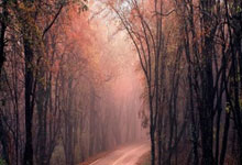 杏彩体育：压哨补篮绝杀！詹姆斯末节救赎！东契奇防守拉胯，哈里伯顿16+18.