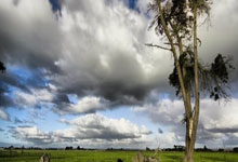 杏彩体育：三笘薰谈对阵沙特：取胜是最重要的，希望用成绩来回报球迷.