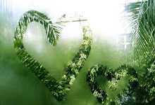 [德甲]德甲三强全输球 多特蒙德不敌奥格斯堡.